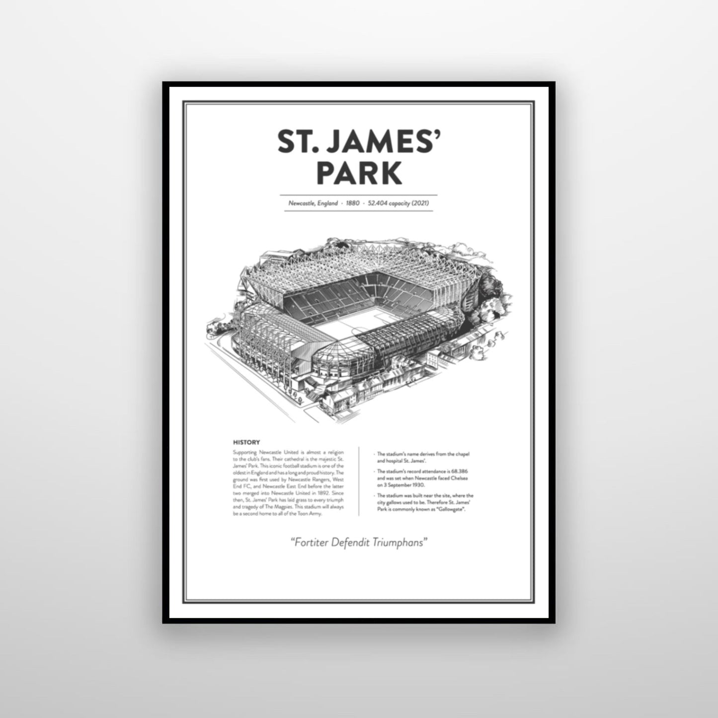 Newcastle United - St James Park