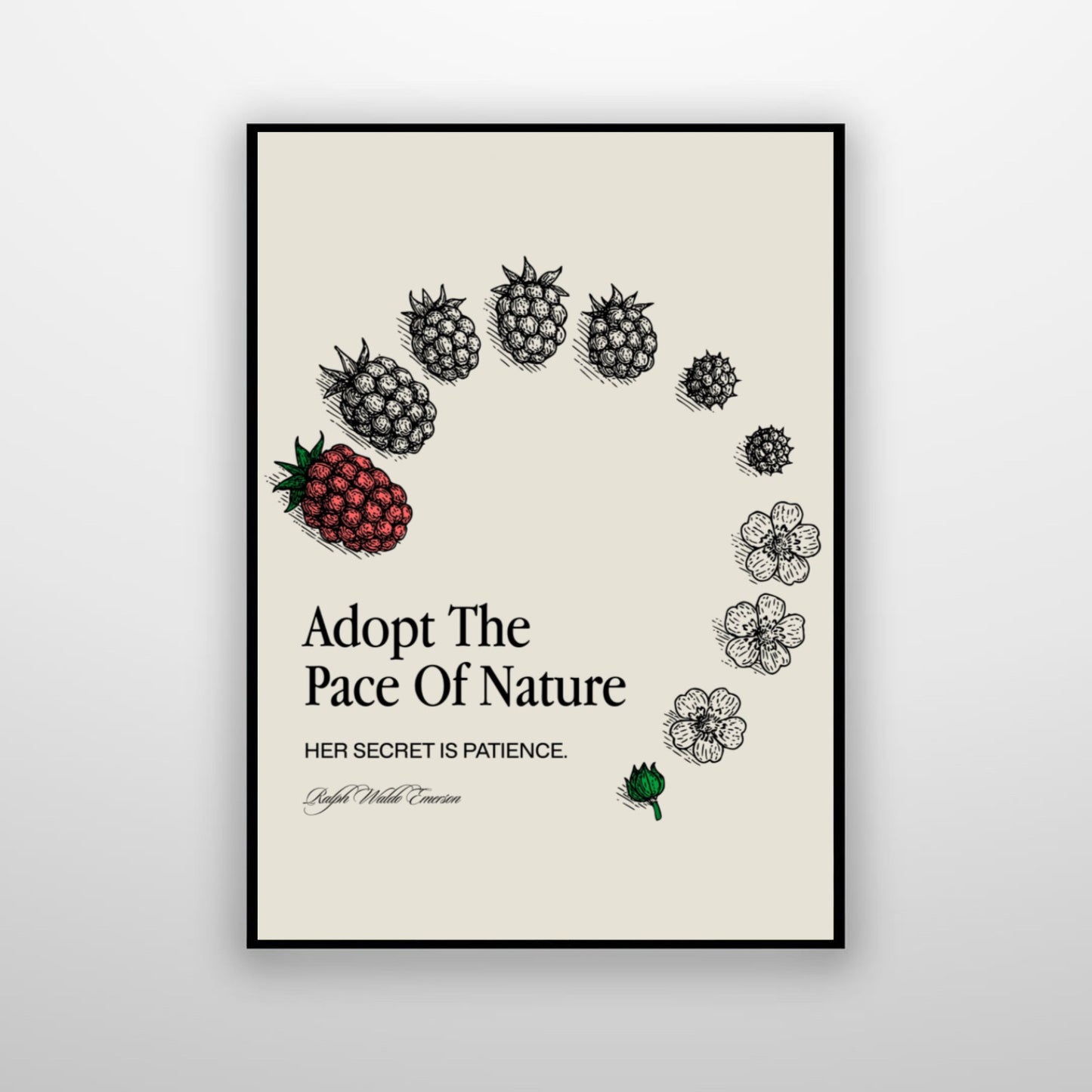 Adopt The Pace Of Nature