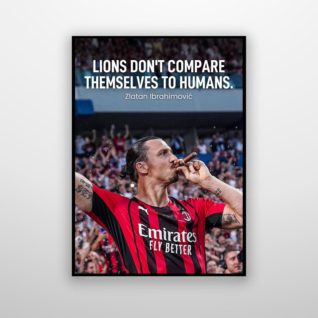 Zlatan Ibrahimović - Lions