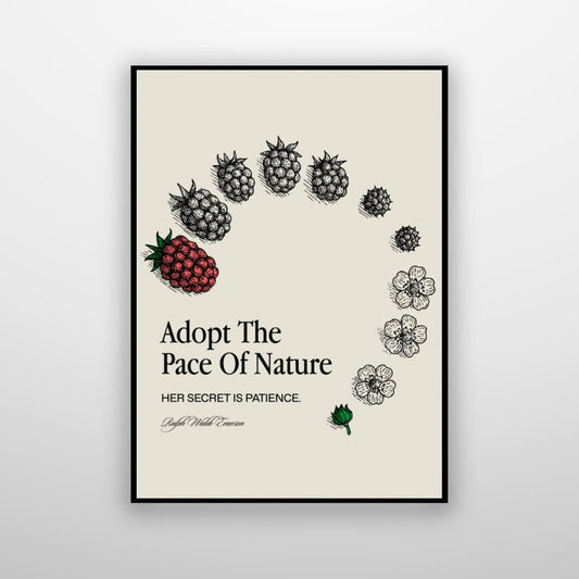 Adopt The Pace Of Nature